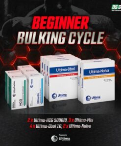 Beginner Bulking Cycle