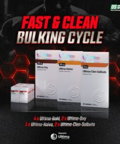 Fast & Clean Bulking Cycle