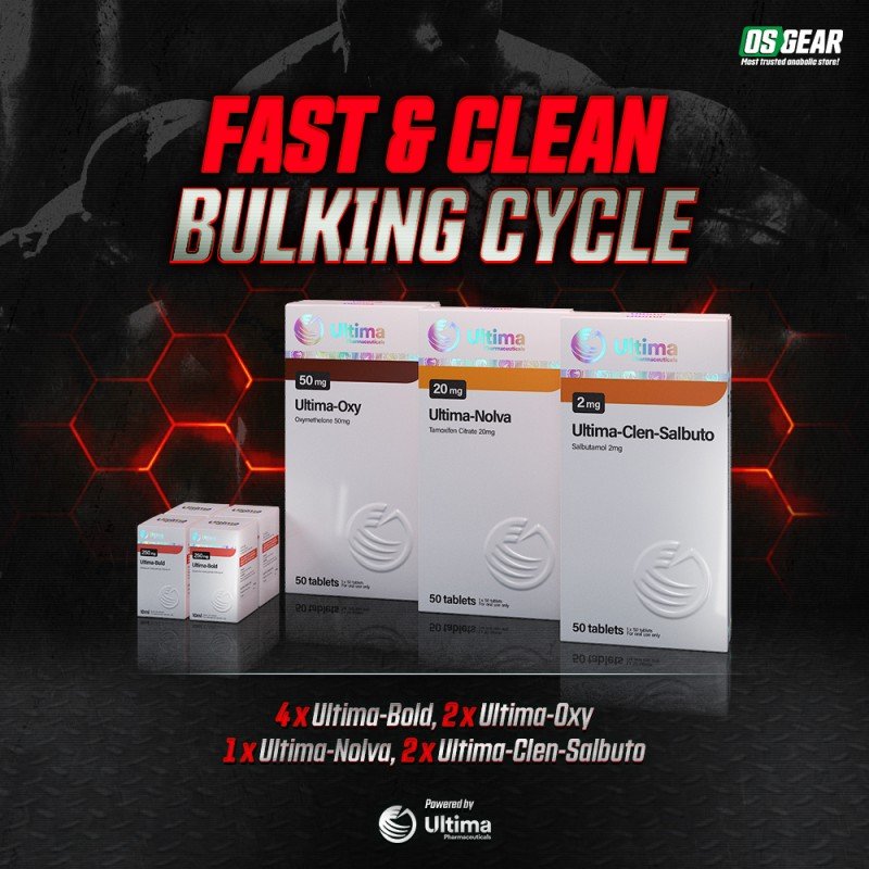 b-fast-clean-bulking-cycle-212.jpg